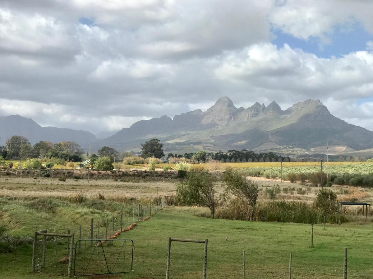 Klein Welmoed Luxury Guest House Stellenbosch Exterior foto