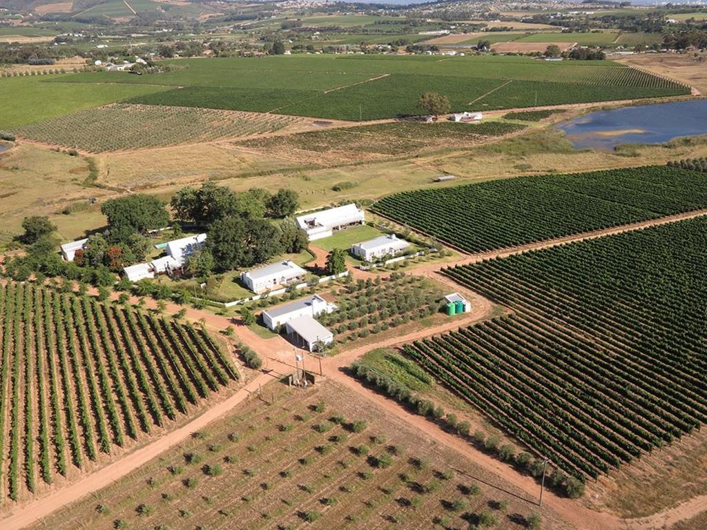 Klein Welmoed Luxury Guest House Stellenbosch Exterior foto