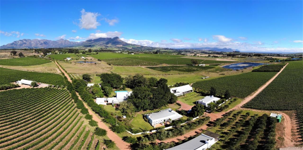 Klein Welmoed Luxury Guest House Stellenbosch Exterior foto
