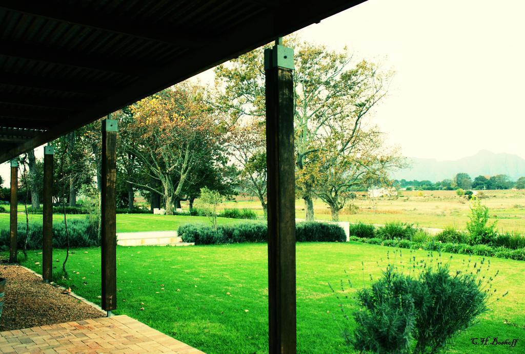 Klein Welmoed Luxury Guest House Stellenbosch Exterior foto