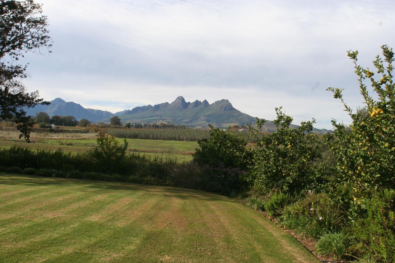 Klein Welmoed Luxury Guest House Stellenbosch Exterior foto