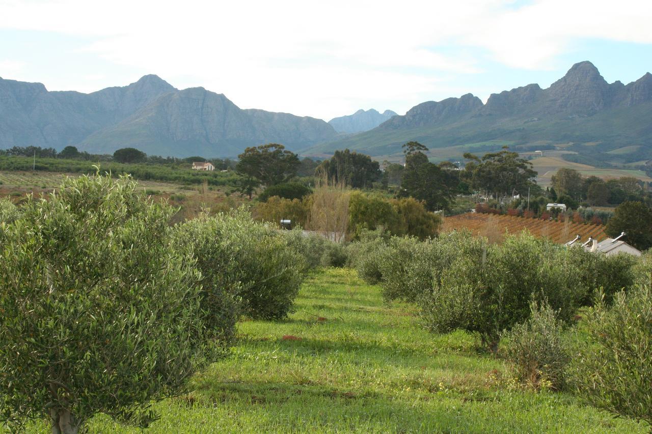 Klein Welmoed Luxury Guest House Stellenbosch Exterior foto