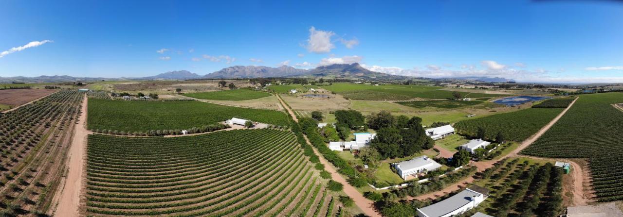 Klein Welmoed Luxury Guest House Stellenbosch Exterior foto
